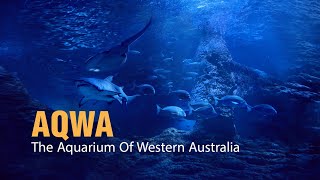 AQWA The Aquarium Of Western Australia