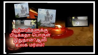 ஆத்மா உலகம் இதுதான்?செல்லபிராணிகள் ஆத்மா இங்கு தான் சொல்லும்?