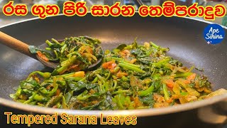 රසගුණ පිරි සාරන තෙම්පරාදුව | Tempered Sarana Leaves | සාරණ තෙලට