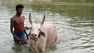 பாசக்காரன் மதகுபட்டி வெள்ளையன் Madagupatti Vellaiyan