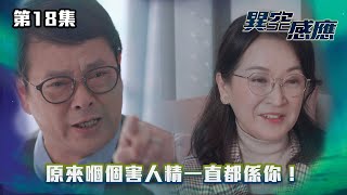 異空感應｜原來嗰個害人精一直都係你！｜第18集精華｜驚悚懸疑劇｜#TVBUSA #TVB港劇精華