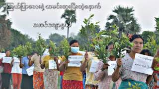 ကြယ်ပြာလေးနဲ့ ထမင်းစားပြီးတဲ့နောက်(မောင်ချောနွယ်)