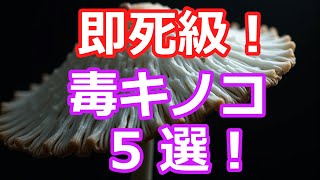 死ぬほど危険な恐怖の毒キノコ 5 選「内蔵破壊」「呼吸困難」の恐れ