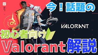 【初心者必見！】VALORANT 解説動画【ゲーム紹介 #part1 】