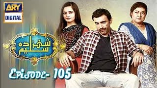 Shehzada Saleem Ep 105 - ARY Digital Drama