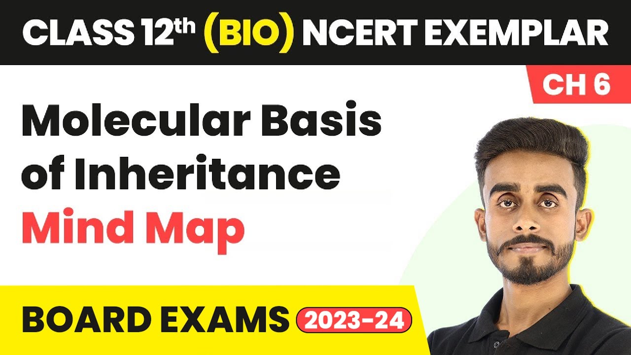 Molecular Basis Of Inheritance - Mind Map | Class 12 Biology NCERT ...