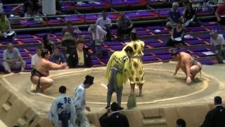 大相撲.2016.7.21㊳/笹山(sasayama)-羽黒豊(haguroho) /nagoya Basho/day 12 #sumo