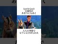 アンス王子の可哀想な雑学 映画雑学 ＃ディズニー＃アナ雪＃ハンス王子