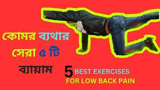 কোমর ব্যথার সেরা ৫ টি ব্যায়াম | 5 BEST EXERCISES FOR LOW BACK PAIN in BENGALI