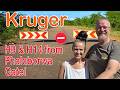 Kruger - H9 & H14 from Phalaborwa Gate! Ep 703