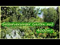 Riesen Selbstversorger Garten Rundgang Juli 🥔🍅🍏