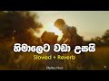 himaleta wada usai හිමාලෙට වඩා උසයි තාත්තා slowed reverb