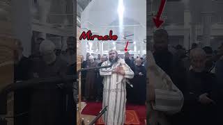 Cat jumps on sheikh leading prayer.See his reaction #shorts #short