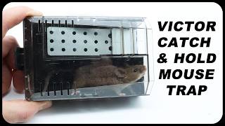 The Newly Redesigned Victor Catch & Hold Mouse Trap. Mousetrap Monday.