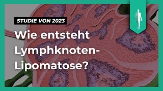 Lymphknoten-Lipomatose: Aktuelle Studie untersucht Veränderungen im Alter