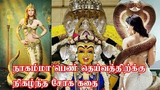 நாகம்மா பெண் தெய்வத்திற்க்கு நிகழ்ந்த சோக கதை |  Nagamma Story