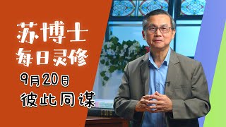 【苏博士每日灵修】9月20日 | 彼此同谋