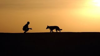 【感動】愛犬の最後の散歩に参加してくれませんか。飼い主の呼びかけに数百人が集まる！