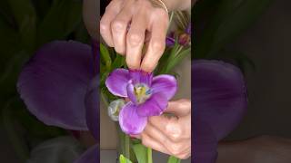 How to Open The Tulip 🌷🌷🌷! #art #flower #flowerdesign #cute #viral #fun #shortvideo #shorts