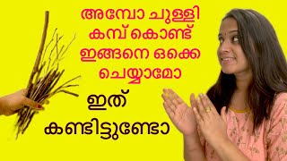 മുറ്റത്തു ഉള്ള ചുള്ളി കമ്പ് ഇത്രയും അടിപൊളി ആയിരുന്നോ 😳 Easy wall art/#trending #diy #viral #craft