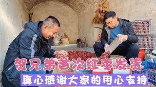 首次陕北红枣分捡发货，真心感谢粉丝用心支持【贺永贤】