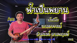 ฟ้าเป็นพยาน (Coverpin)By.ใบตองกุง