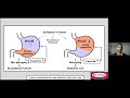 Pre-malignant conditions of the stomach