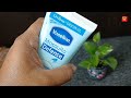 vaseline mosquito defence lotion review. সাশ্রয়ী দামে ভ্যাসলিন মসকিউটো ডিফেন্স লোশন।