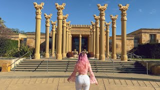 🍷 California Travel Vlog: LA to Napa Valley! 🌲✨ Wine, State Parks \u0026 San Francisco Adventure!