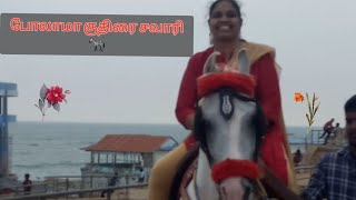 #nature #animal#video குதிரை சவாரி போகலாம் 🦓🐎🐴/Horse ride At Kanyakumari