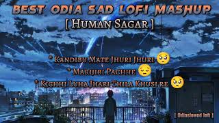 Best Odia Sad 😭 Lofi Mashup || Human Sagar || #humansagar #odia #lofi #sad