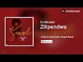 DJ Msodoki - Zilipendwa | Singeli Beat (Official Audio)