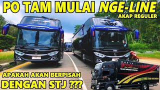 AKHIRNYA❓️PO TAM NGELINE AKAP‼️KISAH KARDUS BALAP TAM KARGO  Feat  STJ