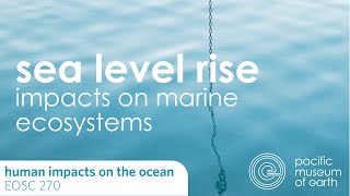 Sea Level Rise: Impacts on Marine Ecosystems : EOSC 270