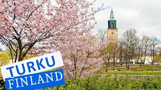 Cherry Trees are Blossoming, but Still Very Cold - Walking in Turku, Finland - May 2024 [4K]