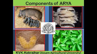 ARYA(Attracting and Retaining youth in Agriculture)  in KVK Kokrajhar AAU Assam,ATARI ZoneVI 2020 21