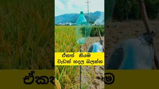 ඔන්න අපේ වගා කටයුතුවල ඉන්න අයට වැදගත් වෙයි.Agriculture and Technology ideas \u0026 farming ideas.