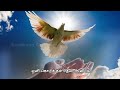 தூய ஆவியே எம் thooya aviyae holy spirit song கிறிஸ்து ராஜன் தனம் மத்தியாஸ்