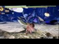 【mh4g】えるすん実況！【マギ・黒き蝕を打ち晴らせ！】