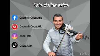 Kolo violina samo na debelu - Čeda Atić uživo