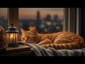 cozy christmas ambience for cats 🎵 relaxing holiday music peaceful piano cat music no ads