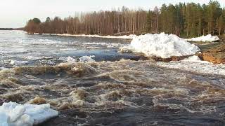 Islossning vid Kattilakoski i Torneälven