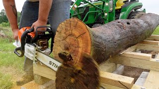 Salvaging Forgotten Hedge Logs - Firewood or Lumber?