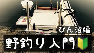 野釣り入門🔰びん沼編