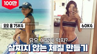 저칼로리 다이어트로 살찌는 체질이 되었다😯? 다시 돌아가는 법!