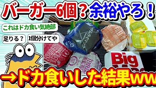 【2ch面白いスレ】ワイ「バーガー6個？余裕やんｗ」→ドカ食いした結果ｗｗｗ