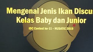 Mengenal Jenis2 Ikan Discus