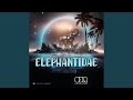 Elephantidae