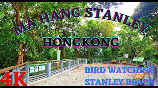 4K MA HANG STANLEY HONG KONG | GET AWAY FROM THE CITY