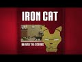 iron cat